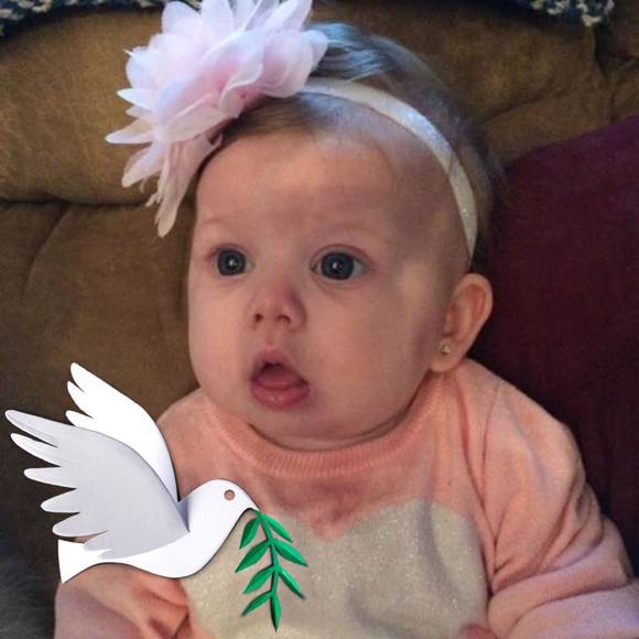 Meet your Posher, Robin - Picture 1 of 1